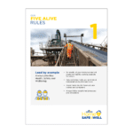 Breedon Five Alive Rules 1