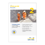 Breedon Five Alive Rules 2