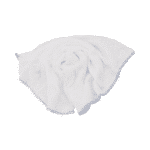 Dish Cloths White/Blue X 10